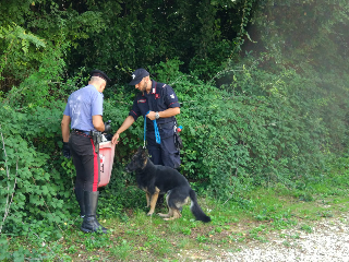 Macerata - Rissa ai Giardini Diaz, giovane accoltellato è in prognosi riservata